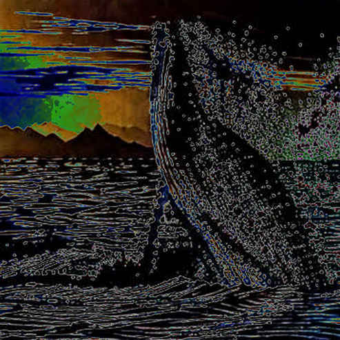 A Whale Just Moved $9.2M in LINK to Coinbase. Here’s What the Code Tells Us. A Whale Just Moved $9.2M in LINK to Coinbase. Here’s What the Code Tells Us.