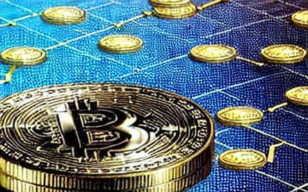 The Invisible Threat: Why Blockchain Projects Without Key Information Are Sinking in the Bear Market