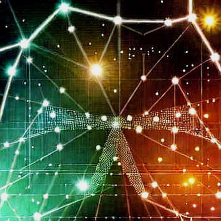 NVIDIA's 5 Trillion Dollar Silence: What the Earnings Call Will Reveal About the Machine Behind the Machine