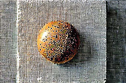 When the Corporate Halo Fades: Strategy's STRC and the Quiet Erosion of Asset-Backed Confidence When the Corporate Halo Fades: Strategy's STRC and the Quiet Erosion of Asset-Backed Confidence