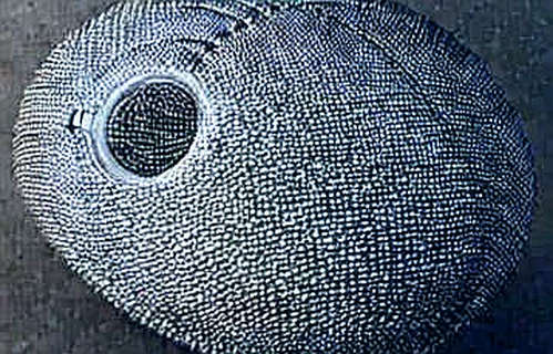 The AI Ghost in the Machine: How Over One-Third of New Web Pages Are Poisoning Crypto's Information Ecosystem The AI Ghost in the Machine: How Over One-Third of New Web Pages Are Poisoning Crypto's Information Ecosystem