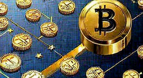 The Silence of the Wallet: When a Titan Abandons Self-Custody The Silence of the Wallet: When a Titan Abandons Self-Custody