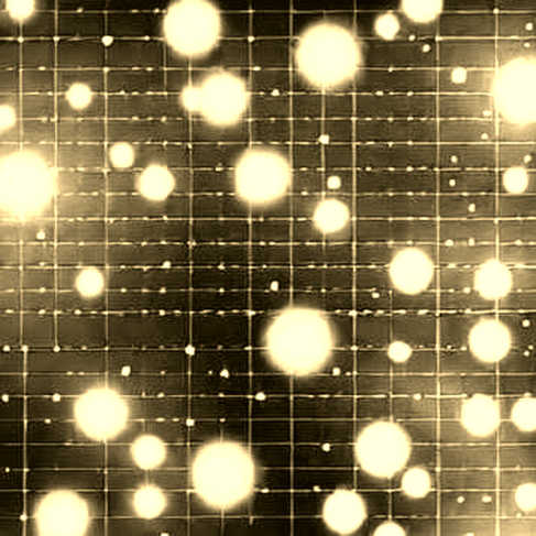 The $254B Loan Signal: Why Commercial Banks Are Printing the Next Crypto Correction